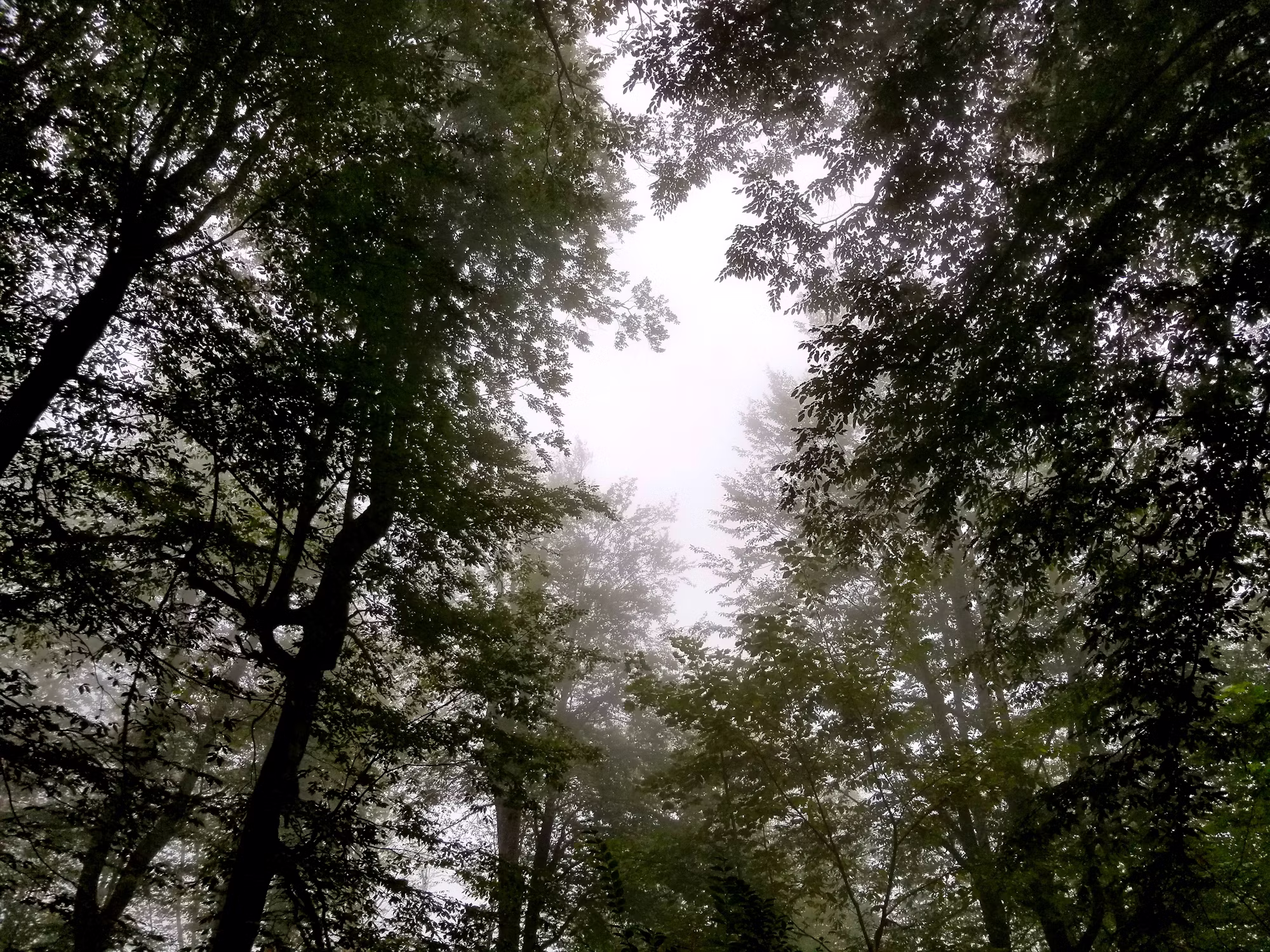 Luxury Travel: The Ultimate Guide to Indulging in the World’s Finest Experiences